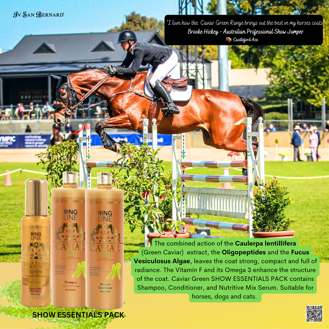 Caviar Green Bundle Save 10% on Caviar Green Shampoo 300ml, Conditioner 300ml & Nutritive-Mix Serum - Ultimate Pooch Parent
