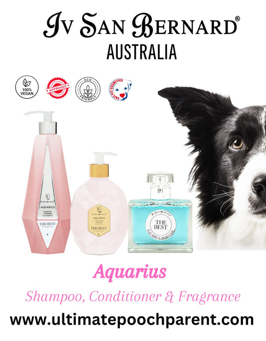 Ultimate Aquarius Pack:  550ml Shampoo, 500ml Conditioner & Fragrance image 0